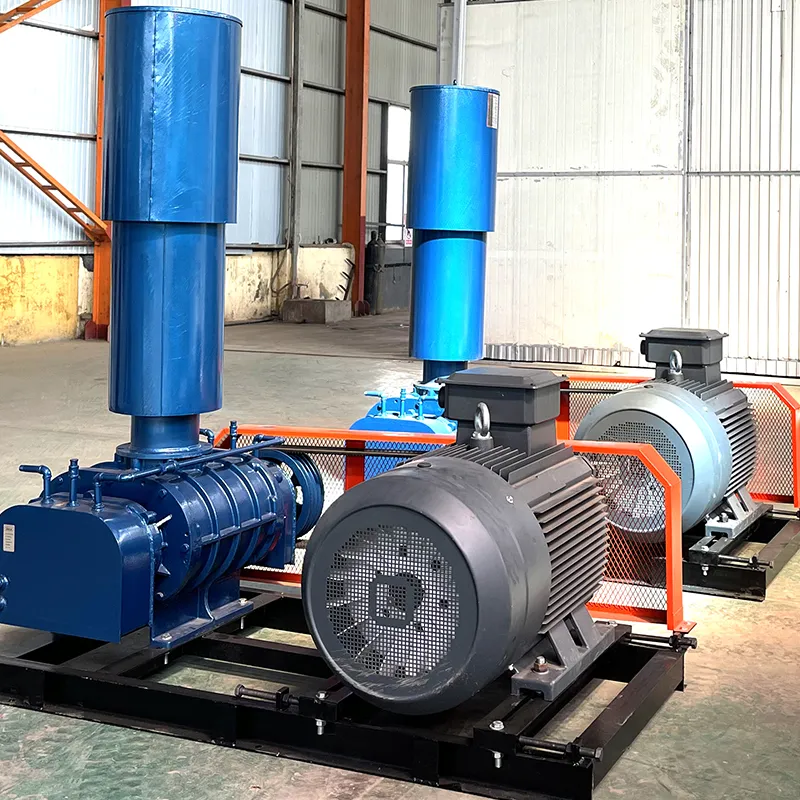 Вентилятор Рутса.2 Вентилятор Рутса.2